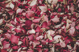 flower petals