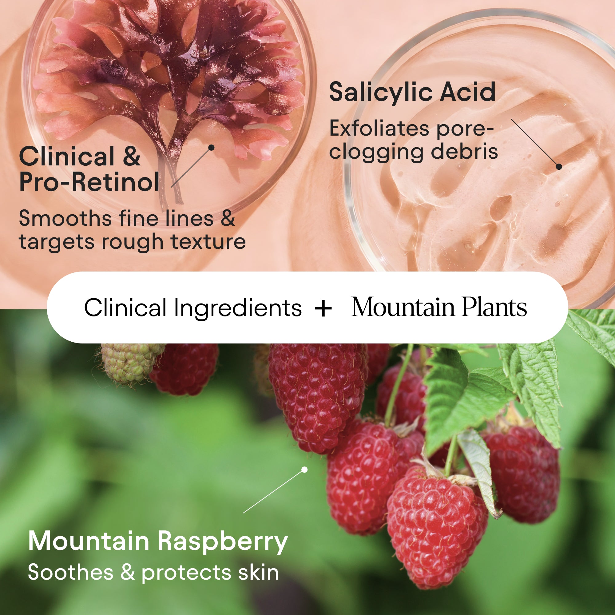 Clarifying Facial Oil