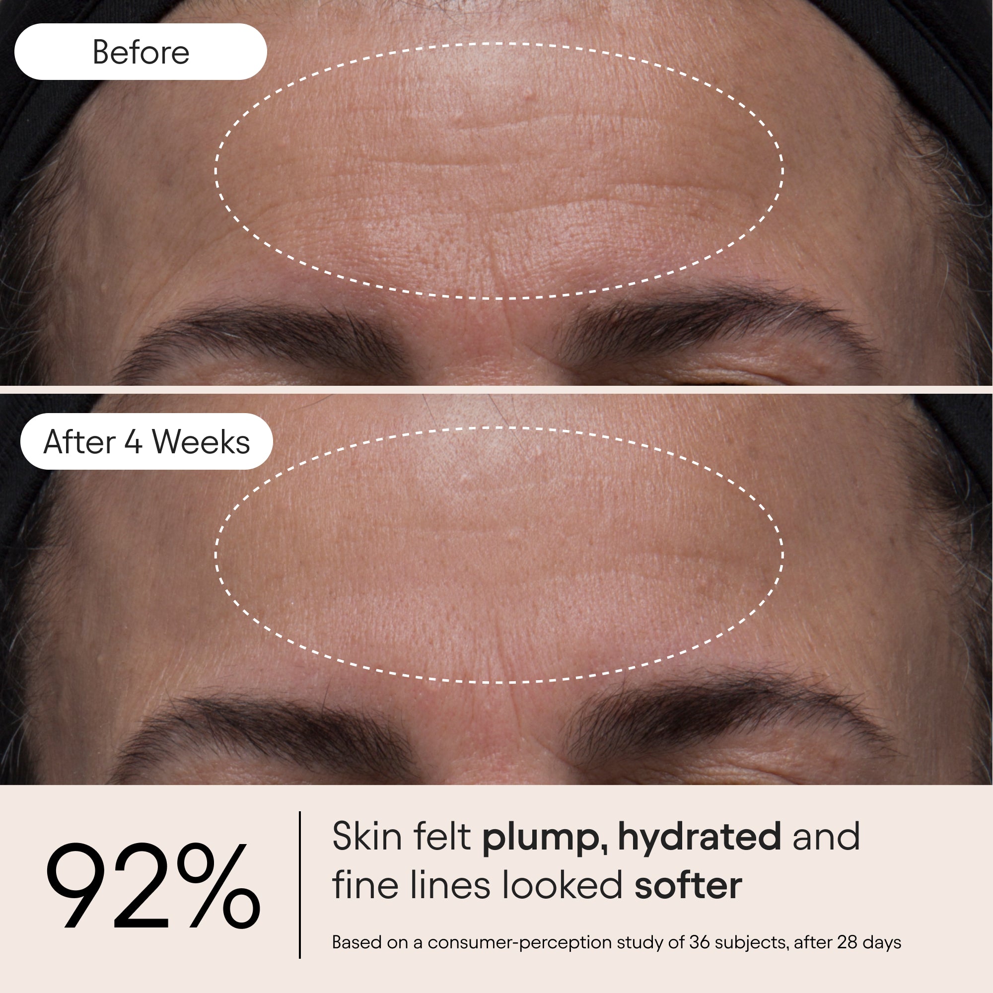 Melt Moisturizer