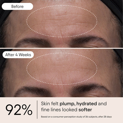 Melt Moisturizer