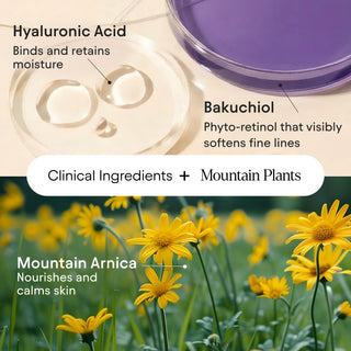 Melt Moisturizer