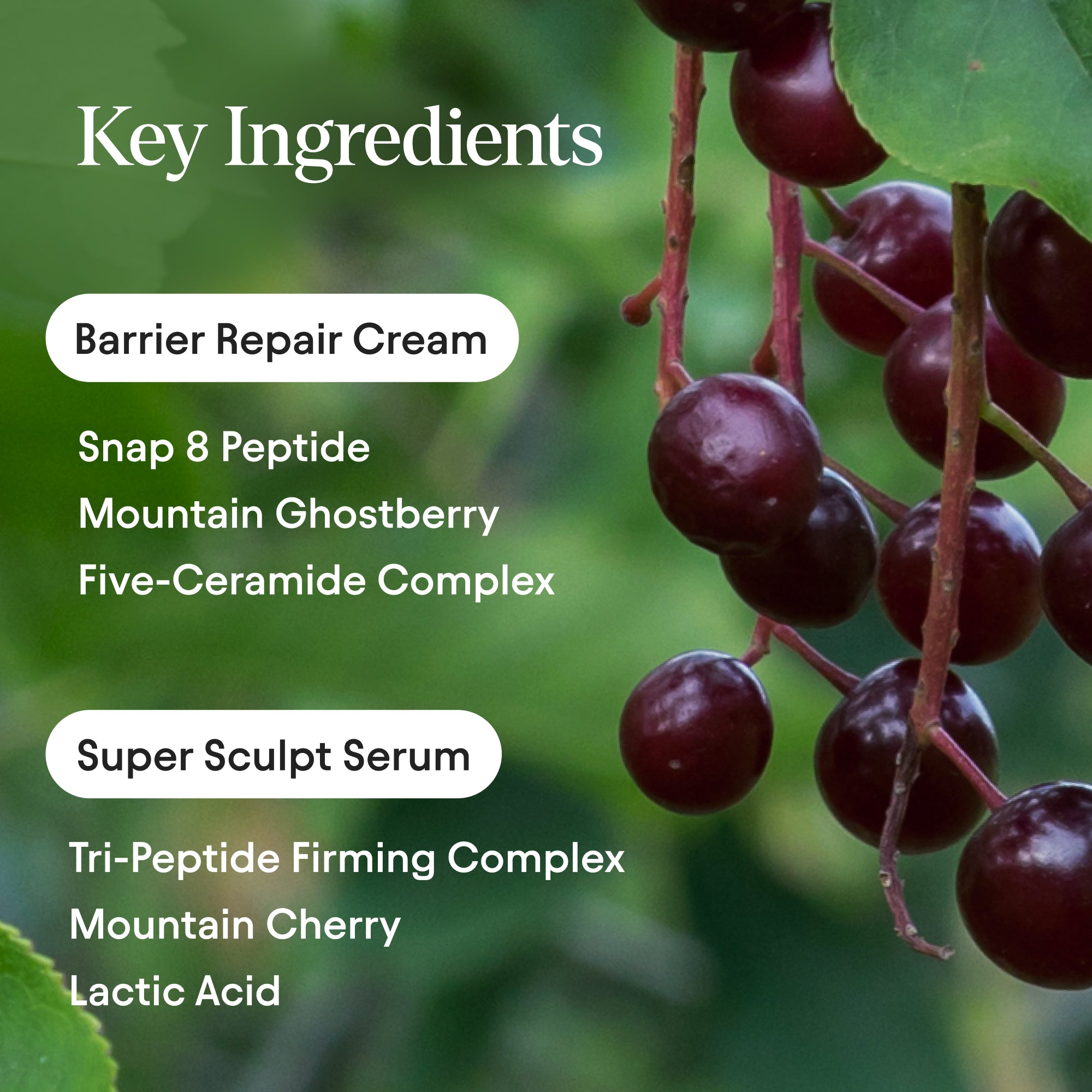 Sculpt and Smooth Travel & Trial Kit